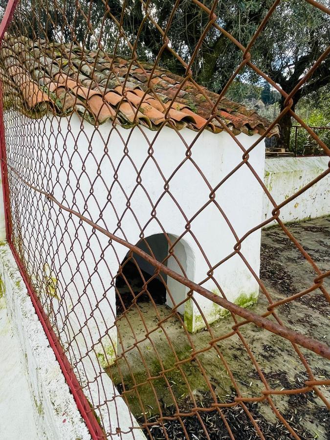Casa Do Martinho * Castelo de Vide